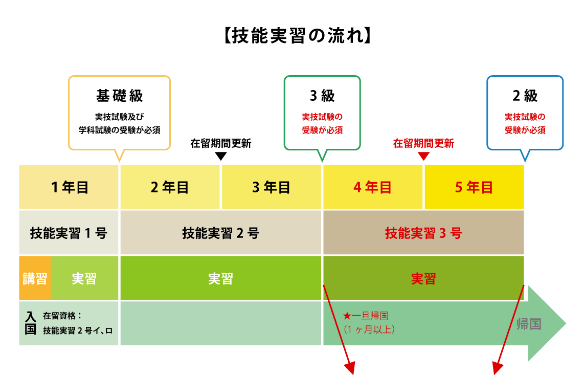 技能実習の流れ