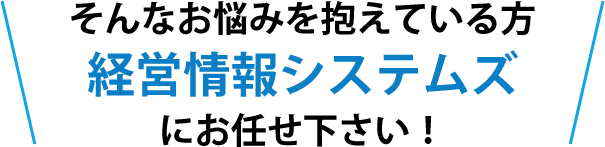 そんなお悩みを抱えている方 経営情報システムズにお任せ下さい！